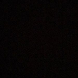 Meet your Posher, Shaun